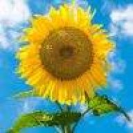 春暖花开QQ.COM
