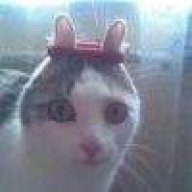 虚度1