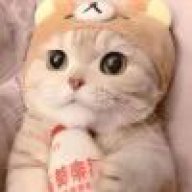 孤独的根号3