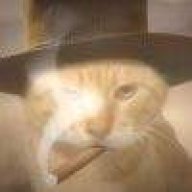 今夜我陪你化成灰