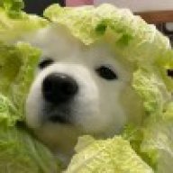 赤鹤灬
