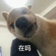 小齐777