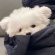 AD冬临