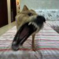 ewqqqqq