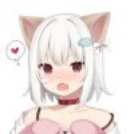 黎黎猫猫酱🐾