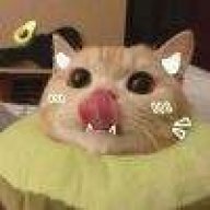 ◇…4e3