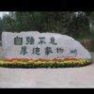胤爍侽孩