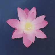qhr12131