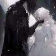 消失已久的蒲公英