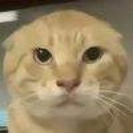 cherryㅤ