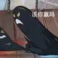 琳彪.