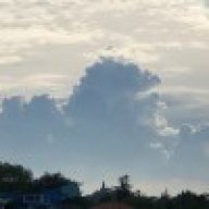 雷锋月