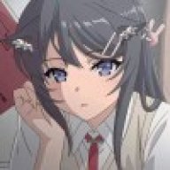 BVVD大肘子