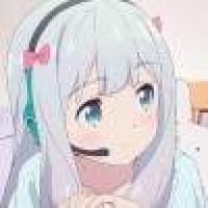 lhbigliershgslher