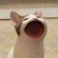 过来我让狠狠地射你