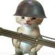 bvvdbvvd