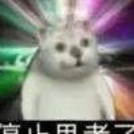 飞输入法Ger