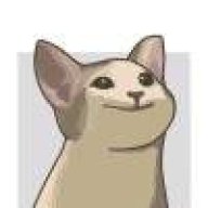 猫猫5