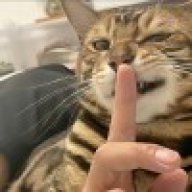 世间万物不及你