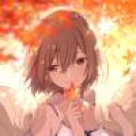 纳逗111