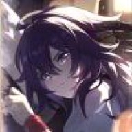 zzz理塘