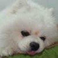 断念@