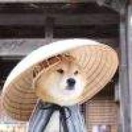 夜行asd