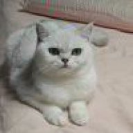 十月一