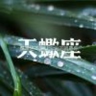 虫子君