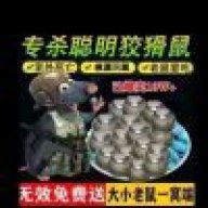 专杀聪明狡猾鼠