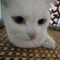 🇮 🇰 🇺 🇳op