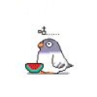 琳宾是个屑鸽子