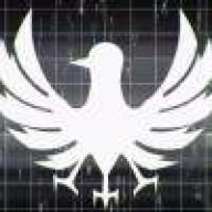 飞翔小鸟的小鸟