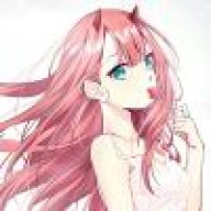 ~永恒の比翼鸟~