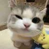 不要叫我榨汁机