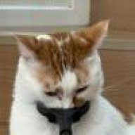 林彪101蒙古耐摔王