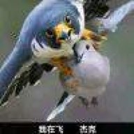 衬衫的价格为九磅十五便士