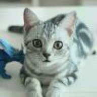 放任时光飞逝我却无能为力