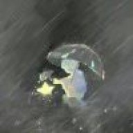 ヽ(*≧ω≦)ﾉLLLL