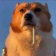 水可载舟，亦可赛艇