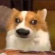 只有名字足够长才有傻子读