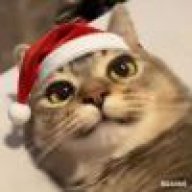 Алёшинка_阿廖宪科