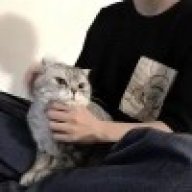 扣1教培