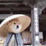 一萧一剑走江湖