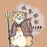 单身狗保护联盟首席执行官