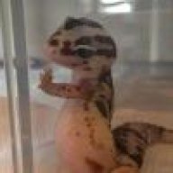 遇事不决先睡觉