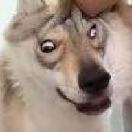 不想当车队指挥的每一天