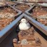 今天你捞薯条了吗？