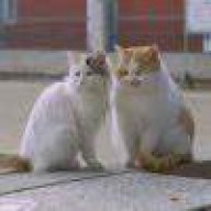 三分柔情眼底藏