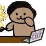 一般路过猫猫人